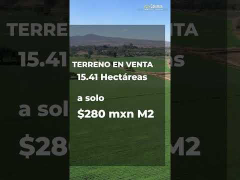 Previsualización del video
