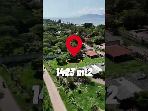 Previsualización del video