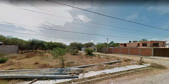 Foto de la galeria de imagenes