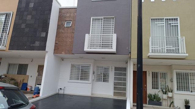 Foto de la galeria de imagenes