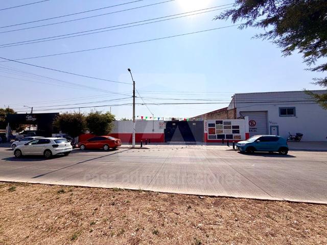Foto de la galeria de imagenes